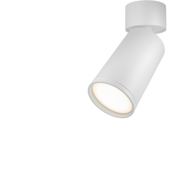 Потолочный светильник MAYTONI FOCUS S C050CL-U-1W